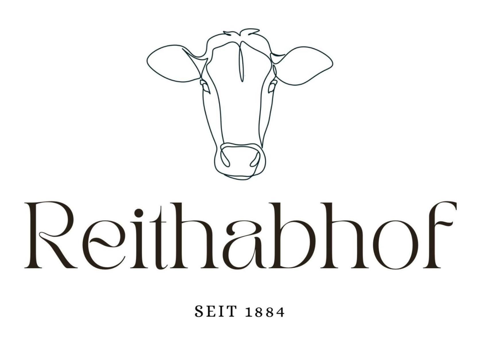 Reithabhof Apartments Schladming Exterior foto
